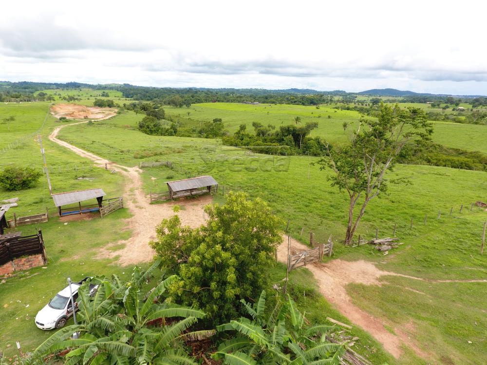 Comprar Rurais / Sítio em CACOAL apenas R$ 1.000.000,00 - Foto 1 Comprar Rurais / Sítio em CACOAL apenas R$ 1.000.000,00 - Foto 1