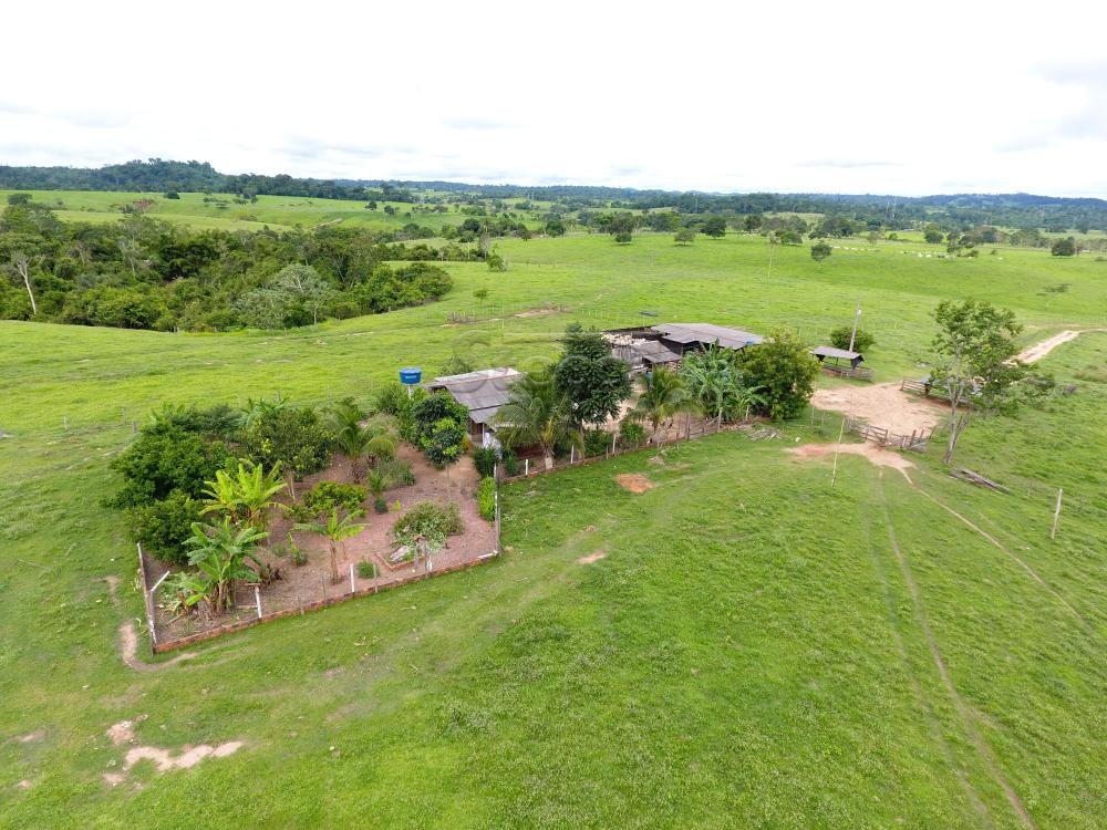 Comprar Rurais / Sítio em CACOAL apenas R$ 1.000.000,00 - Foto 4 Comprar Rurais / Sítio em CACOAL apenas R$ 1.000.000,00 - Foto 4