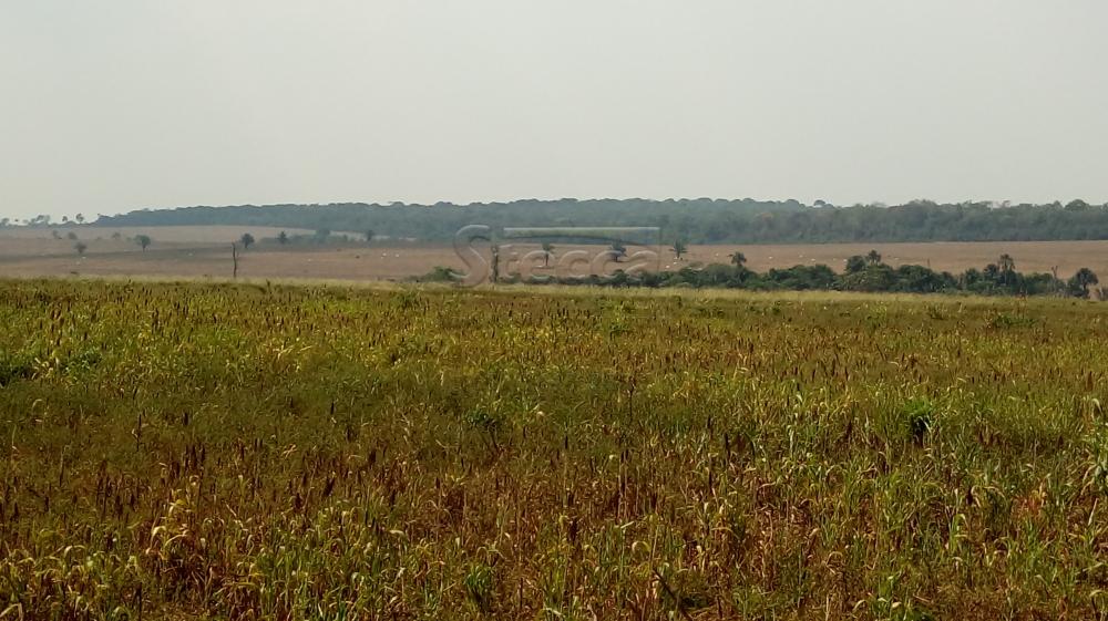 Comprar Rurais / Fazenda em Chupinguaia apenas R$ 24.000.000,00 - Foto 17 Comprar Rurais / Fazenda em Chupinguaia apenas R$ 24.000.000,00 - Foto 17
