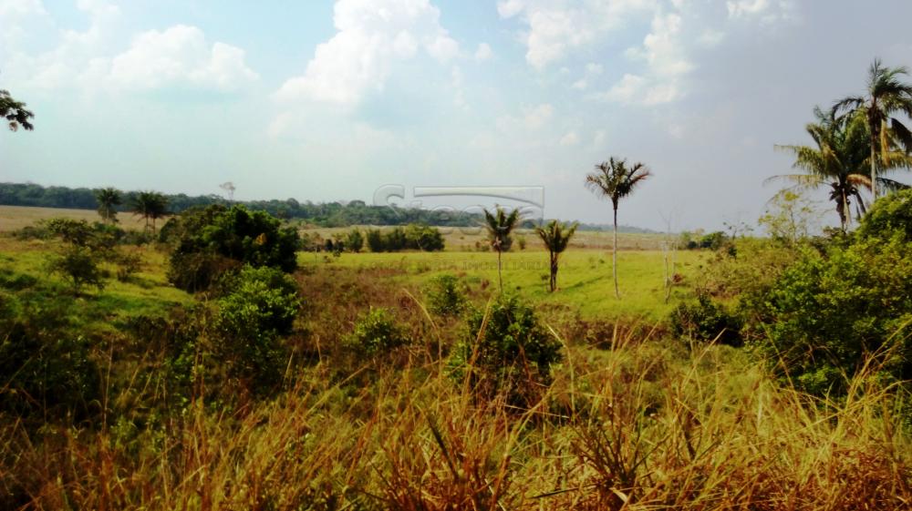 Comprar Rurais / Fazenda em Chupinguaia apenas R$ 24.000.000,00 - Foto 4 Comprar Rurais / Fazenda em Chupinguaia apenas R$ 24.000.000,00 - Foto 4