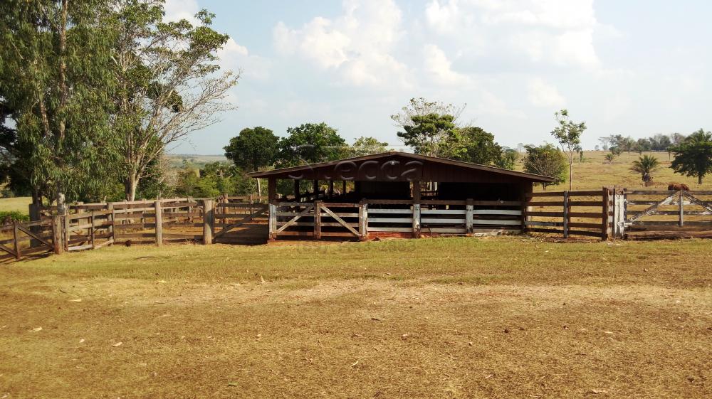 Comprar Rurais / Fazenda em Chupinguaia apenas R$ 24.000.000,00 - Foto 11 Comprar Rurais / Fazenda em Chupinguaia apenas R$ 24.000.000,00 - Foto 11