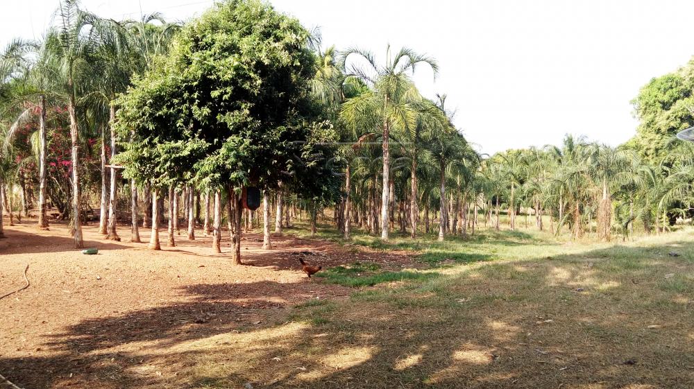 Comprar Rurais / Fazenda em Chupinguaia apenas R$ 24.000.000,00 - Foto 15 Comprar Rurais / Fazenda em Chupinguaia apenas R$ 24.000.000,00 - Foto 15