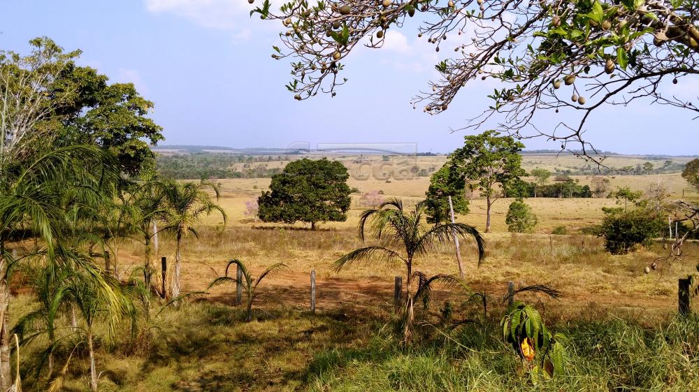 Comprar Rurais / Fazenda em Chupinguaia apenas R$ 24.000.000,00 - Foto 16 Comprar Rurais / Fazenda em Chupinguaia apenas R$ 24.000.000,00 - Foto 16