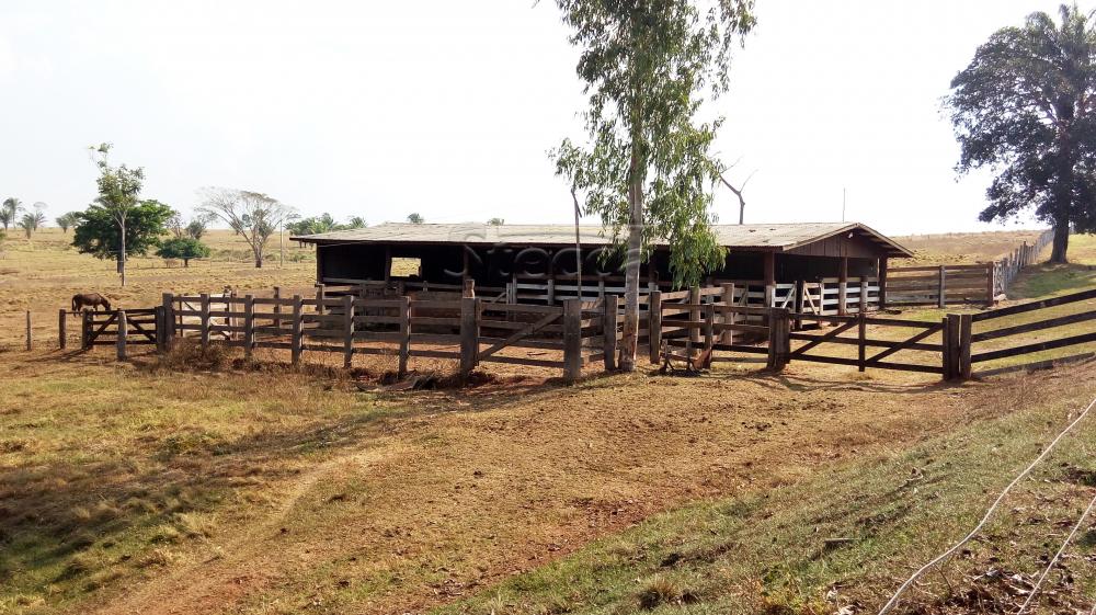 Comprar Rurais / Fazenda em Chupinguaia apenas R$ 24.000.000,00 - Foto 18 Comprar Rurais / Fazenda em Chupinguaia apenas R$ 24.000.000,00 - Foto 18