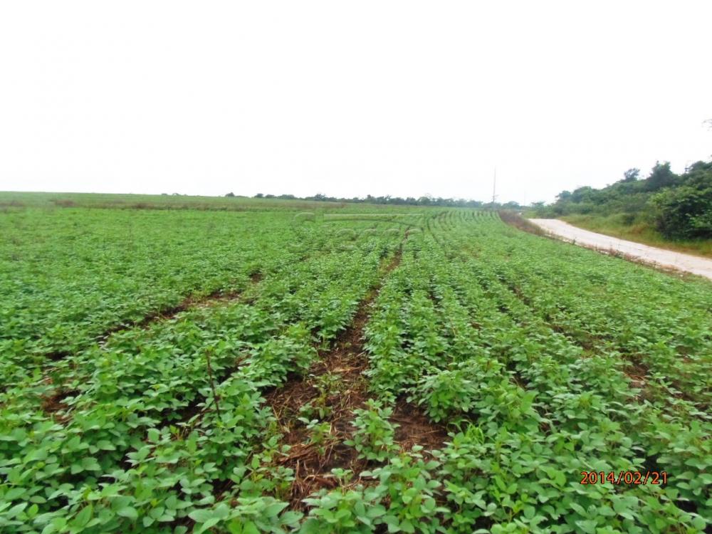 Comprar Rurais / Fazenda em Chupinguaia apenas R$ 24.000.000,00 - Foto 1 Comprar Rurais / Fazenda em Chupinguaia apenas R$ 24.000.000,00 - Foto 1