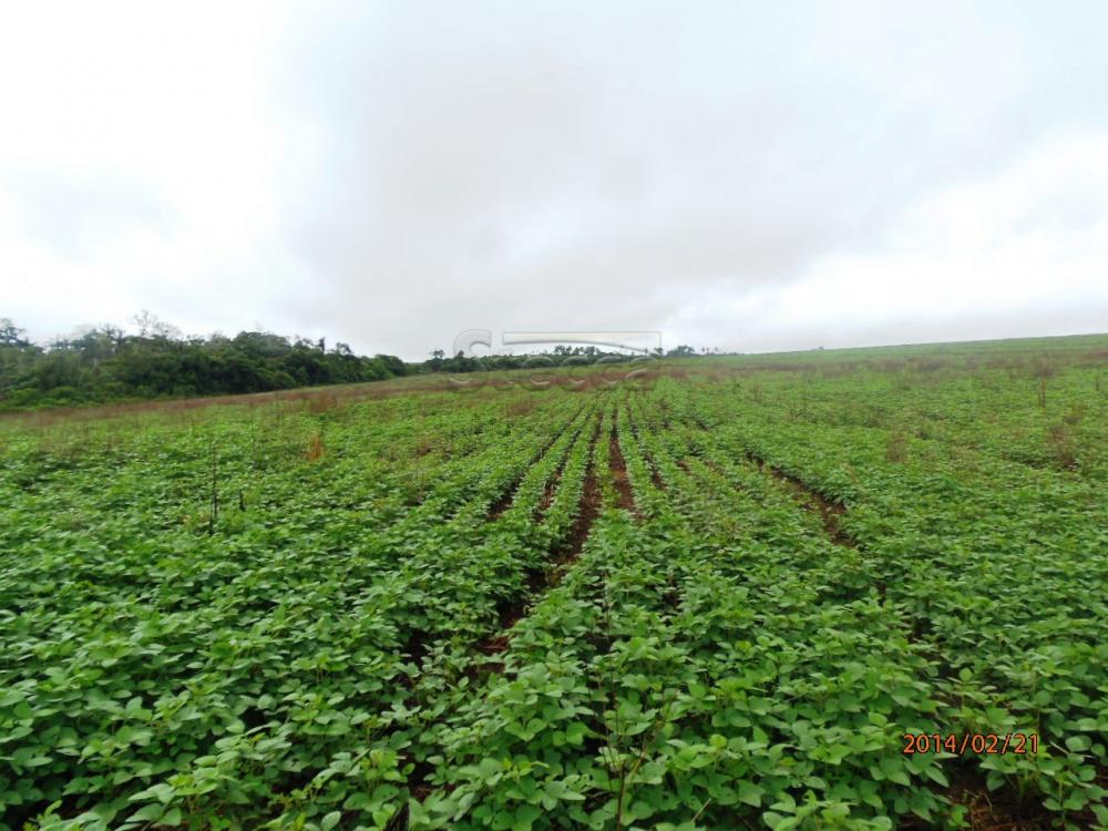 Comprar Rurais / Fazenda em Chupinguaia apenas R$ 24.000.000,00 - Foto 19 Comprar Rurais / Fazenda em Chupinguaia apenas R$ 24.000.000,00 - Foto 19