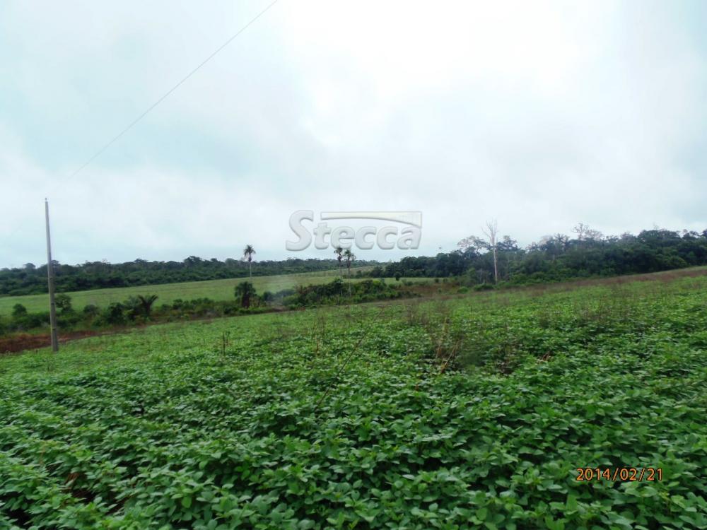 Comprar Rurais / Fazenda em Chupinguaia apenas R$ 24.000.000,00 - Foto 20 Comprar Rurais / Fazenda em Chupinguaia apenas R$ 24.000.000,00 - Foto 20