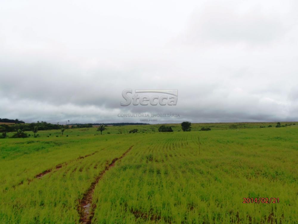 Comprar Rurais / Fazenda em Chupinguaia apenas R$ 24.000.000,00 - Foto 21 Comprar Rurais / Fazenda em Chupinguaia apenas R$ 24.000.000,00 - Foto 21
