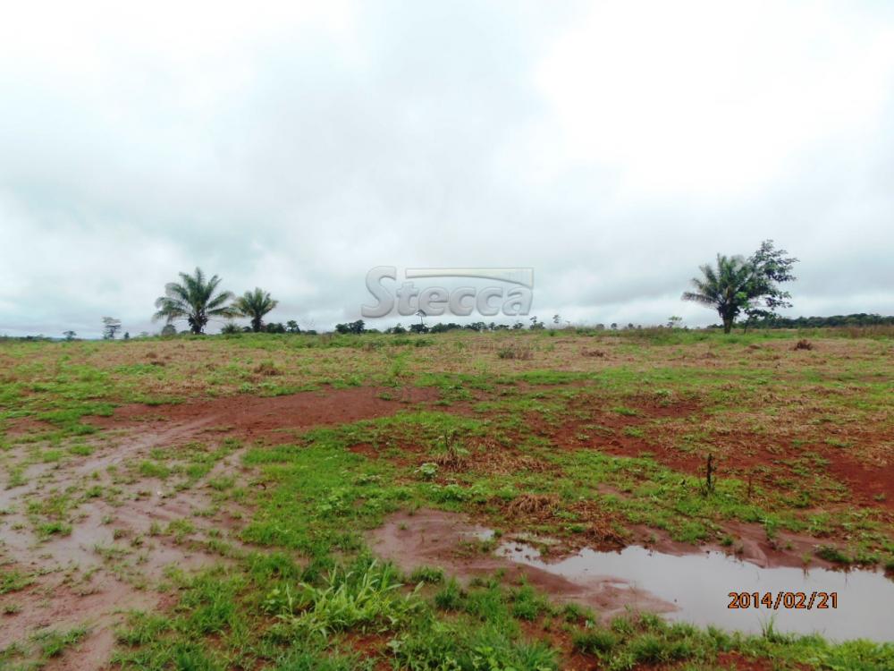 Comprar Rurais / Fazenda em Chupinguaia apenas R$ 24.000.000,00 - Foto 28 Comprar Rurais / Fazenda em Chupinguaia apenas R$ 24.000.000,00 - Foto 28