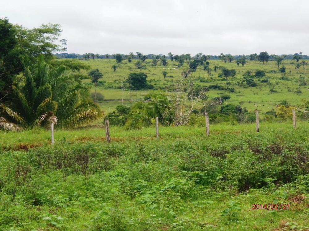 Comprar Rurais / Fazenda em Chupinguaia apenas R$ 24.000.000,00 - Foto 34 Comprar Rurais / Fazenda em Chupinguaia apenas R$ 24.000.000,00 - Foto 34