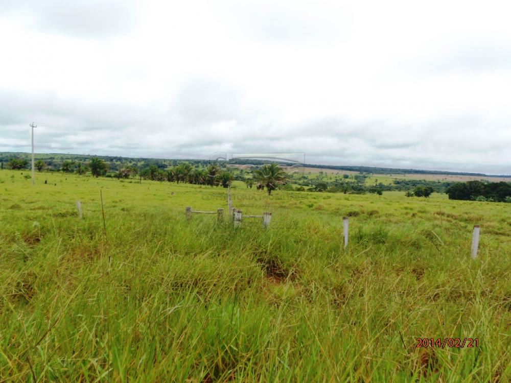 Comprar Rurais / Fazenda em Chupinguaia apenas R$ 24.000.000,00 - Foto 36 Comprar Rurais / Fazenda em Chupinguaia apenas R$ 24.000.000,00 - Foto 36
