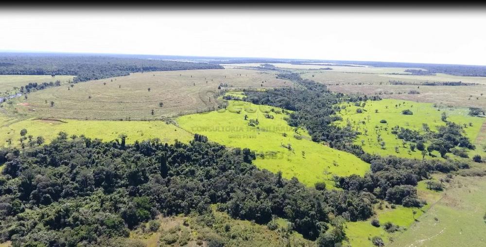Comprar Rurais / Fazenda em Chupinguaia apenas R$ 24.000.000,00 - Foto 39 Comprar Rurais / Fazenda em Chupinguaia apenas R$ 24.000.000,00 - Foto 39