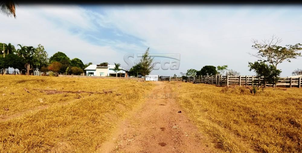 Comprar Rurais / Chácara em CACOAL apenas R$ 750.000,00 - Foto 24 Comprar Rurais / Chácara em CACOAL apenas R$ 750.000,00 - Foto 24