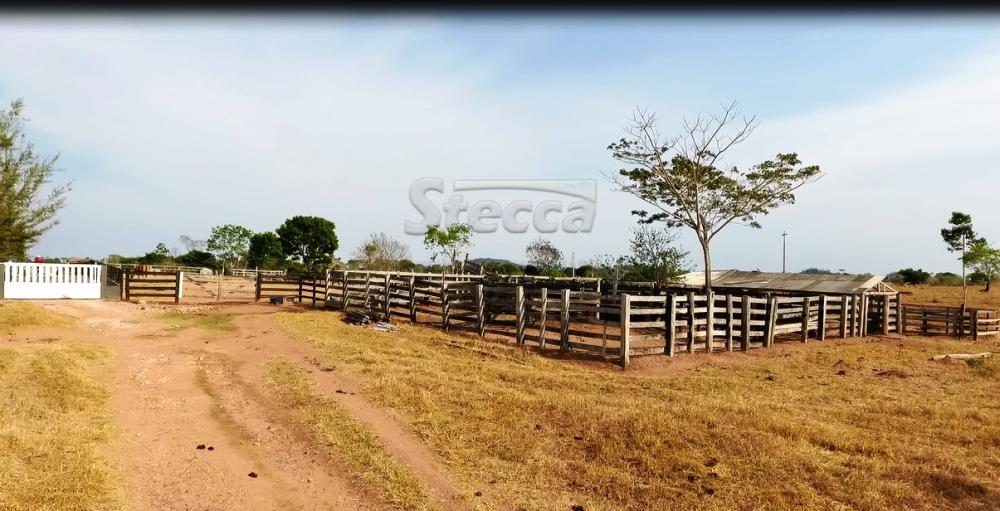 Comprar Rurais / Chácara em CACOAL apenas R$ 750.000,00 - Foto 25 Comprar Rurais / Chácara em CACOAL apenas R$ 750.000,00 - Foto 25