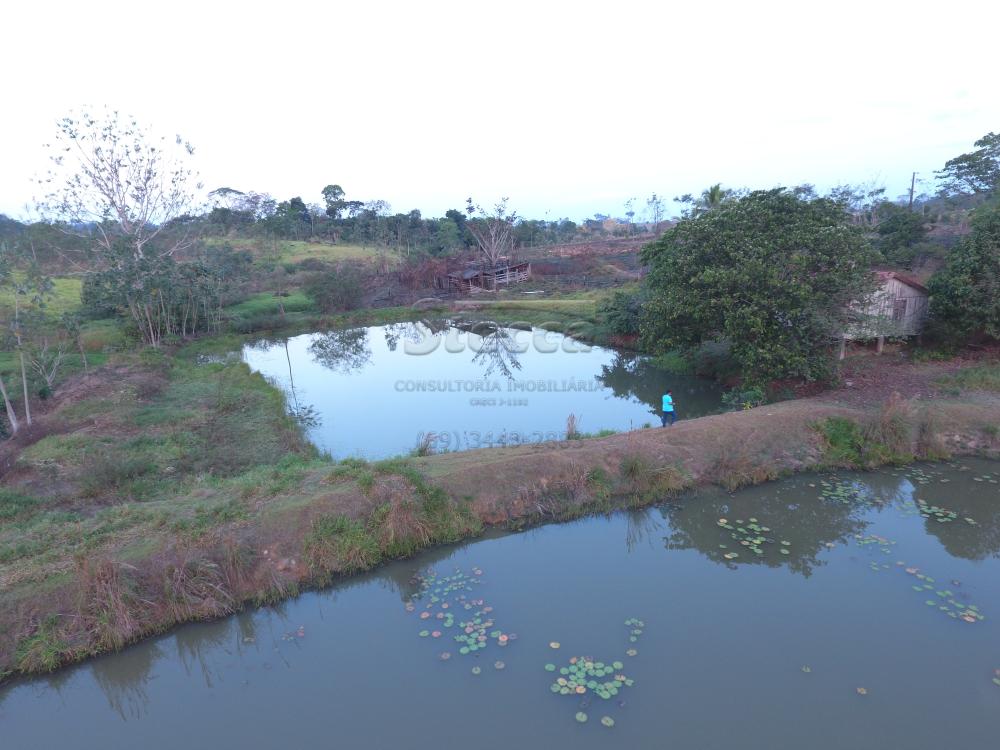 Comprar Rurais / Chácara em CACOAL apenas R$ 180.000,00 - Foto 14 Comprar Rurais / Chácara em CACOAL apenas R$ 180.000,00 - Foto 14