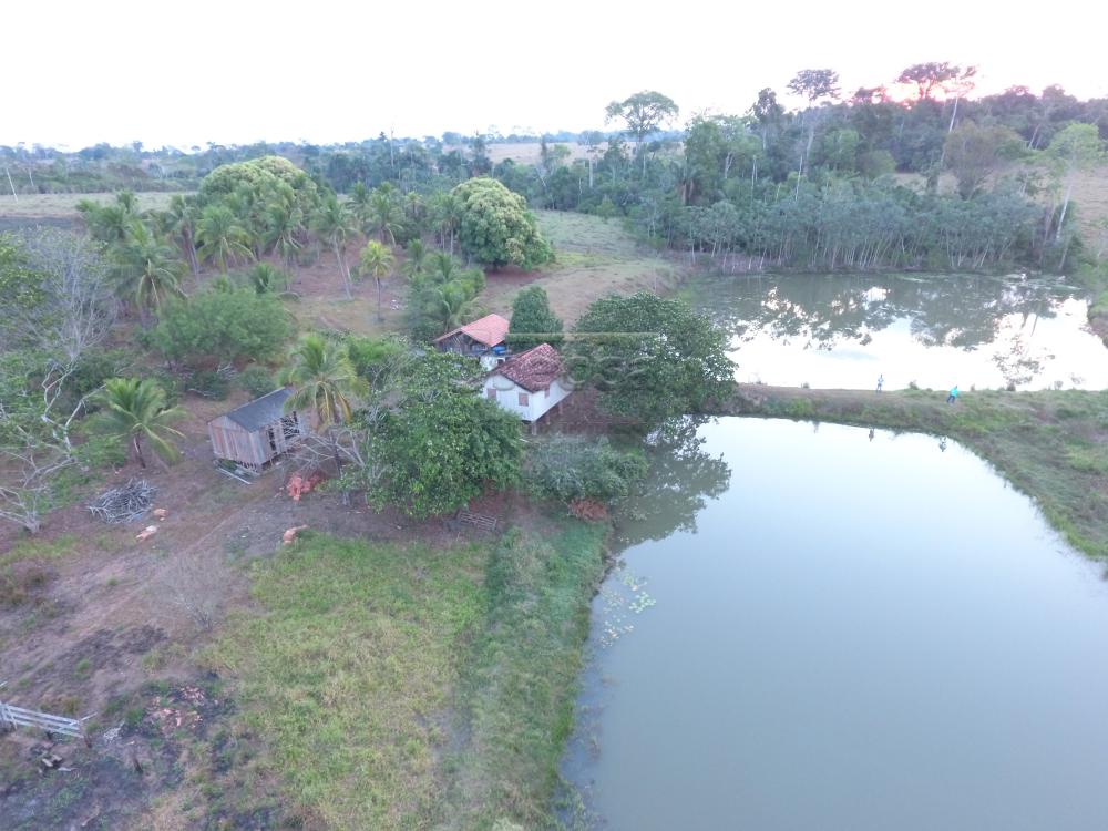 Comprar Rurais / Chácara em CACOAL apenas R$ 180.000,00 - Foto 11 Comprar Rurais / Chácara em CACOAL apenas R$ 180.000,00 - Foto 11