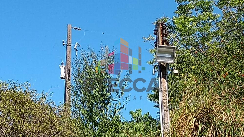 Comprar Rurais / Chácara em CACOAL apenas R$ 180.000,00 - Foto 5 Comprar Rurais / Chácara em CACOAL apenas R$ 180.000,00 - Foto 5