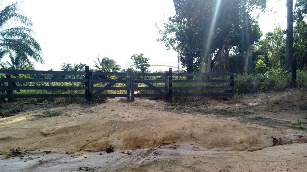 Comprar Rurais / Chácara em CACOAL apenas R$ 110.000,00 - Foto 14 Comprar Rurais / Chácara em CACOAL apenas R$ 110.000,00 - Foto 14