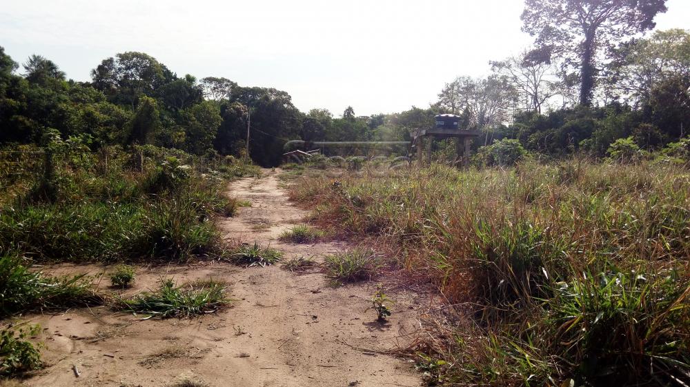 Comprar Rurais / Chácara em CACOAL apenas R$ 110.000,00 - Foto 3 Comprar Rurais / Chácara em CACOAL apenas R$ 110.000,00 - Foto 3