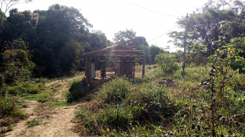Comprar Rurais / Chácara em CACOAL apenas R$ 110.000,00 - Foto 5 Comprar Rurais / Chácara em CACOAL apenas R$ 110.000,00 - Foto 5