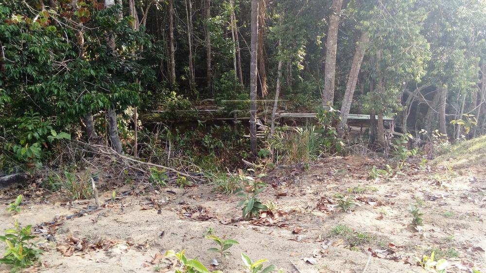 Comprar Rurais / Chácara em CACOAL apenas R$ 110.000,00 - Foto 10 Comprar Rurais / Chácara em CACOAL apenas R$ 110.000,00 - Foto 10