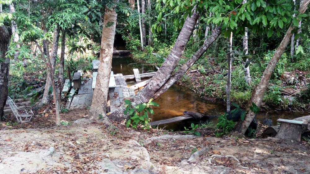 Comprar Rurais / Chácara em CACOAL apenas R$ 110.000,00 - Foto 11 Comprar Rurais / Chácara em CACOAL apenas R$ 110.000,00 - Foto 11