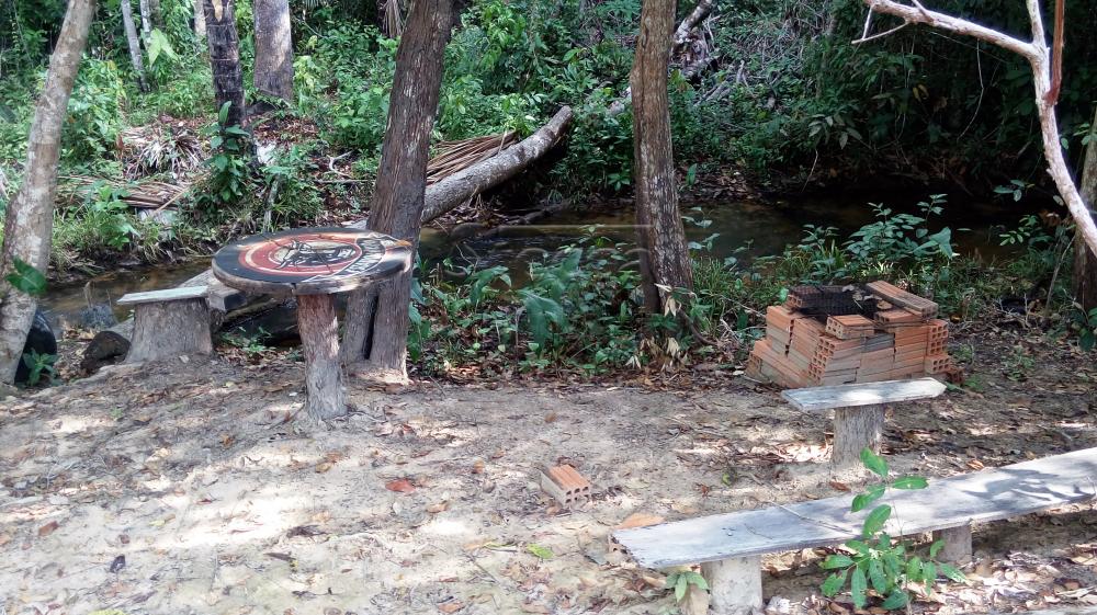 Comprar Rurais / Chácara em CACOAL apenas R$ 110.000,00 - Foto 12 Comprar Rurais / Chácara em CACOAL apenas R$ 110.000,00 - Foto 12