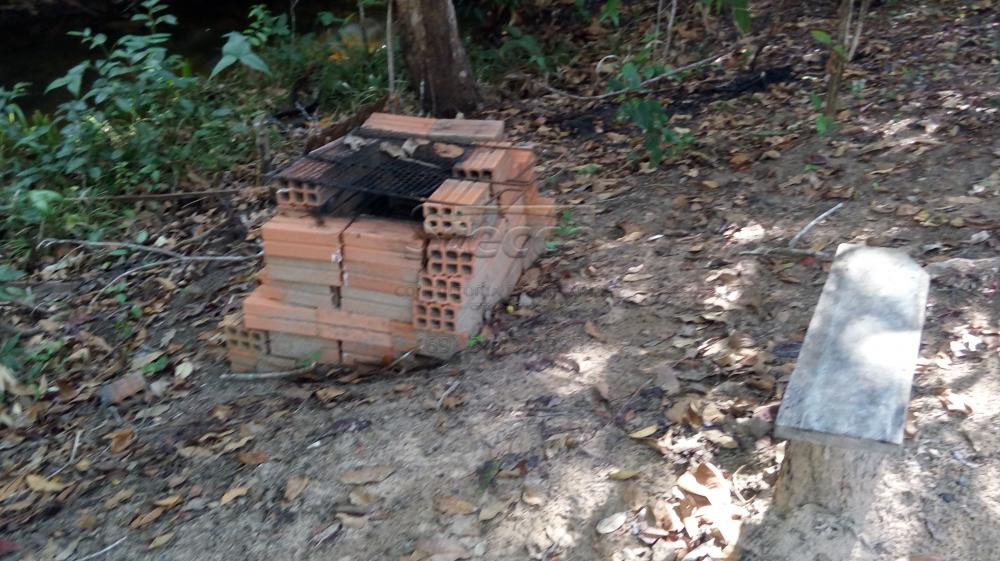 Comprar Rurais / Chácara em CACOAL apenas R$ 110.000,00 - Foto 13 Comprar Rurais / Chácara em CACOAL apenas R$ 110.000,00 - Foto 13