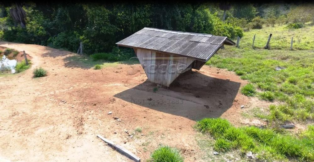 Comprar Rurais / Chácara em CACOAL apenas R$ 950.000,00 - Foto 6 Comprar Rurais / Chácara em CACOAL apenas R$ 950.000,00 - Foto 6