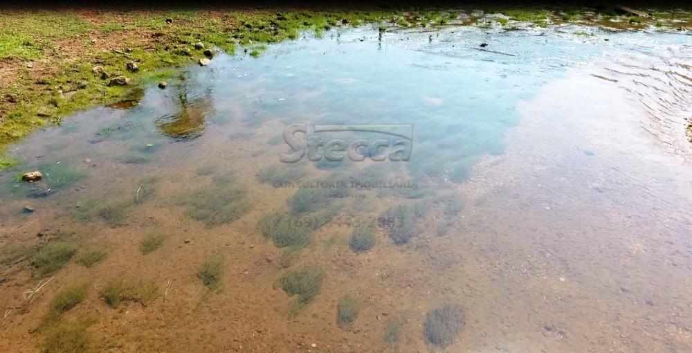 Comprar Rurais / Chácara em CACOAL apenas R$ 950.000,00 - Foto 15 Comprar Rurais / Chácara em CACOAL apenas R$ 950.000,00 - Foto 15