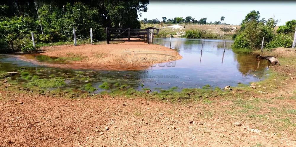 Comprar Rurais / Chácara em CACOAL apenas R$ 950.000,00 - Foto 19 Comprar Rurais / Chácara em CACOAL apenas R$ 950.000,00 - Foto 19