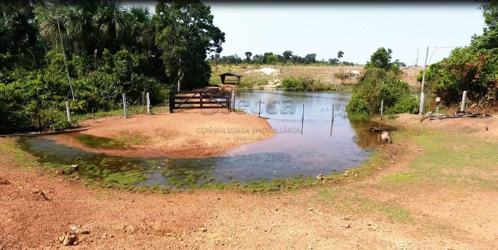 Comprar Rurais / Chácara em CACOAL apenas R$ 950.000,00 - Foto 21 Comprar Rurais / Chácara em CACOAL apenas R$ 950.000,00 - Foto 21