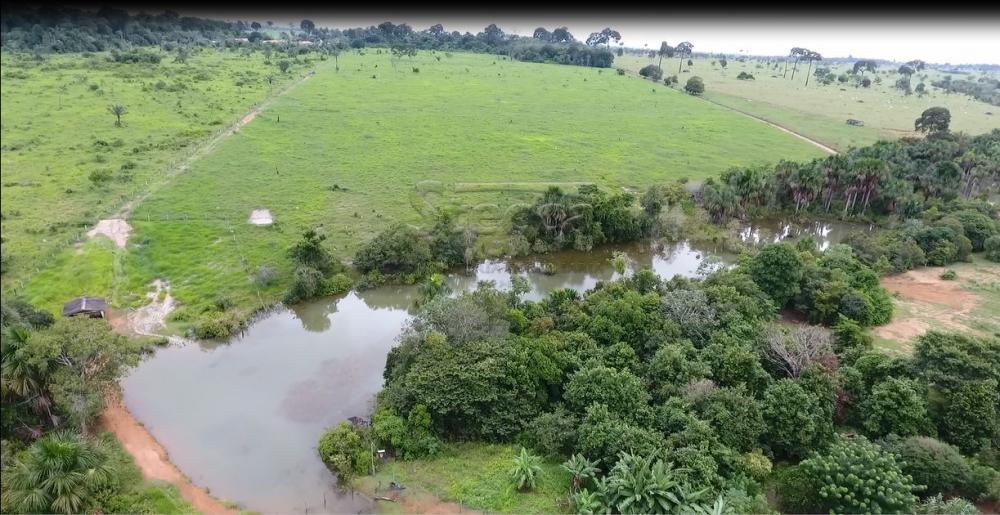 Comprar Rurais / Chácara em CACOAL apenas R$ 950.000,00 - Foto 3 Comprar Rurais / Chácara em CACOAL apenas R$ 950.000,00 - Foto 3