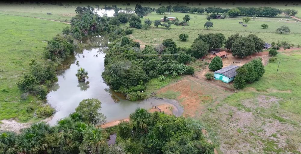 Comprar Rurais / Chácara em CACOAL apenas R$ 950.000,00 - Foto 5 Comprar Rurais / Chácara em CACOAL apenas R$ 950.000,00 - Foto 5