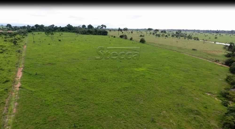 Comprar Rurais / Chácara em CACOAL apenas R$ 950.000,00 - Foto 7 Comprar Rurais / Chácara em CACOAL apenas R$ 950.000,00 - Foto 7
