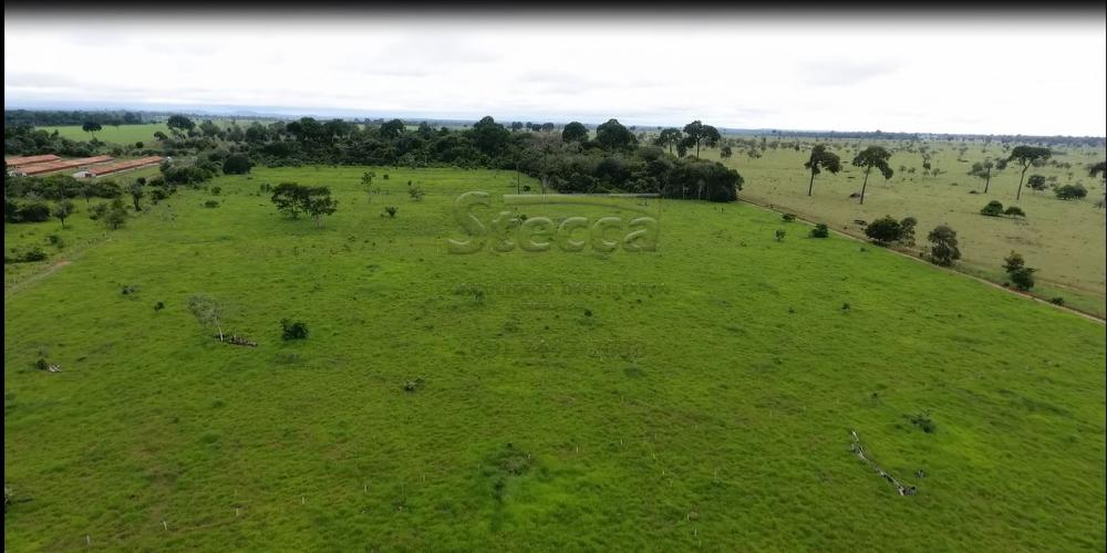 Comprar Rurais / Chácara em CACOAL apenas R$ 950.000,00 - Foto 8 Comprar Rurais / Chácara em CACOAL apenas R$ 950.000,00 - Foto 8