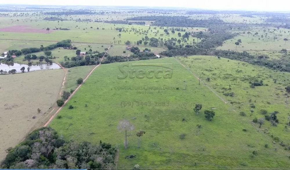 Comprar Rurais / Chácara em CACOAL apenas R$ 950.000,00 - Foto 10 Comprar Rurais / Chácara em CACOAL apenas R$ 950.000,00 - Foto 10