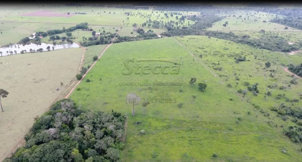 Comprar Rurais / Chácara em CACOAL apenas R$ 950.000,00 - Foto 11 Comprar Rurais / Chácara em CACOAL apenas R$ 950.000,00 - Foto 11