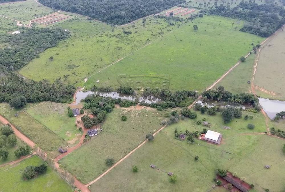 Comprar Rurais / Chácara em CACOAL apenas R$ 950.000,00 - Foto 18 Comprar Rurais / Chácara em CACOAL apenas R$ 950.000,00 - Foto 18