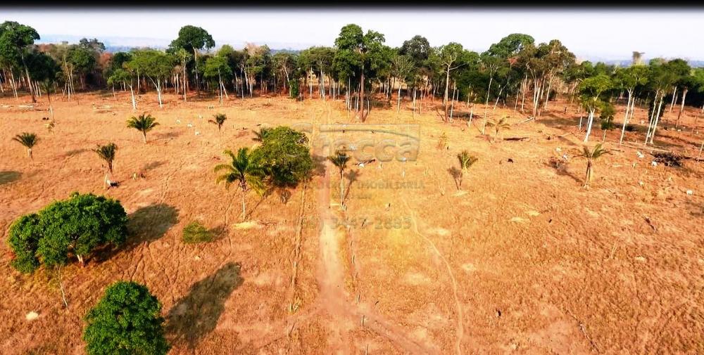 Comprar Rurais / Sítio em CACOAL apenas R$ 995.000,00 - Foto 2 Comprar Rurais / Sítio em CACOAL apenas R$ 995.000,00 - Foto 2