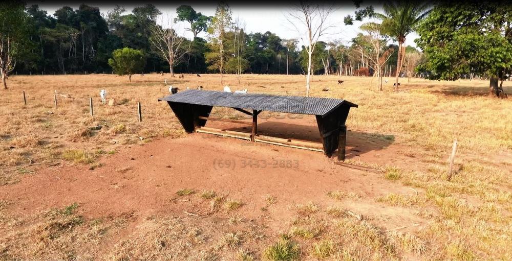 Comprar Rurais / Sítio em CACOAL apenas R$ 995.000,00 - Foto 12 Comprar Rurais / Sítio em CACOAL apenas R$ 995.000,00 - Foto 12
