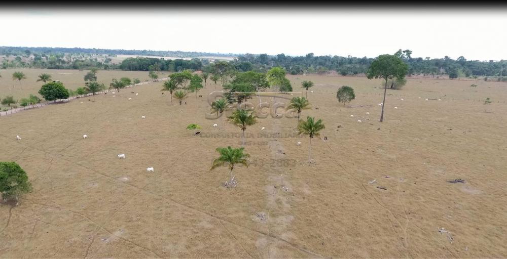 Comprar Rurais / Sítio em CACOAL apenas R$ 2.240.000,00 - Foto 3 Comprar Rurais / Sítio em CACOAL apenas R$ 2.240.000,00 - Foto 3