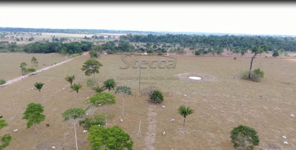 Comprar Rurais / Sítio em CACOAL apenas R$ 2.240.000,00 - Foto 4 Comprar Rurais / Sítio em CACOAL apenas R$ 2.240.000,00 - Foto 4