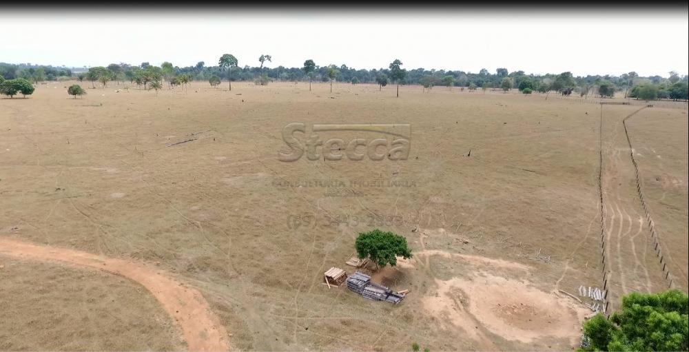 Comprar Rurais / Sítio em CACOAL apenas R$ 2.240.000,00 - Foto 22 Comprar Rurais / Sítio em CACOAL apenas R$ 2.240.000,00 - Foto 22