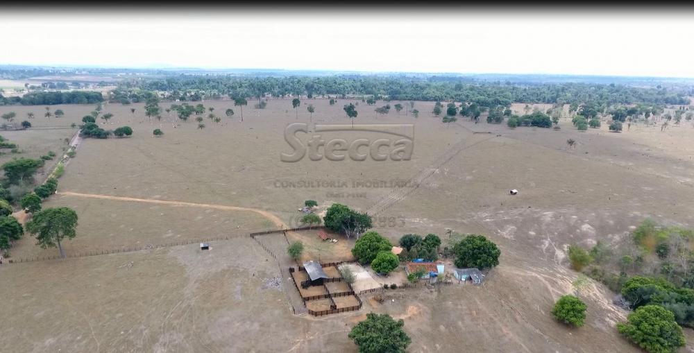 Comprar Rurais / Sítio em CACOAL apenas R$ 2.240.000,00 - Foto 30 Comprar Rurais / Sítio em CACOAL apenas R$ 2.240.000,00 - Foto 30