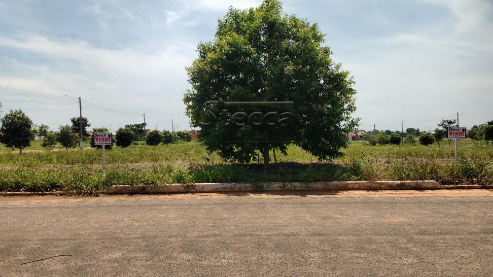 Comprar Terrenos / Terreno em São Miguel do Guaporé R$ 30.000,00 - Foto 3 Comprar Terrenos / Terreno em São Miguel do Guaporé R$ 30.000,00 - Foto 3