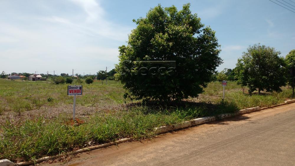 Comprar Terrenos / Terreno em São Miguel do Guaporé R$ 30.000,00 - Foto 5 Comprar Terrenos / Terreno em São Miguel do Guaporé R$ 30.000,00 - Foto 5