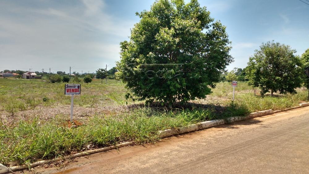 Comprar Terrenos / Terreno em São Miguel do Guaporé R$ 30.000,00 - Foto 6 Comprar Terrenos / Terreno em São Miguel do Guaporé R$ 30.000,00 - Foto 6