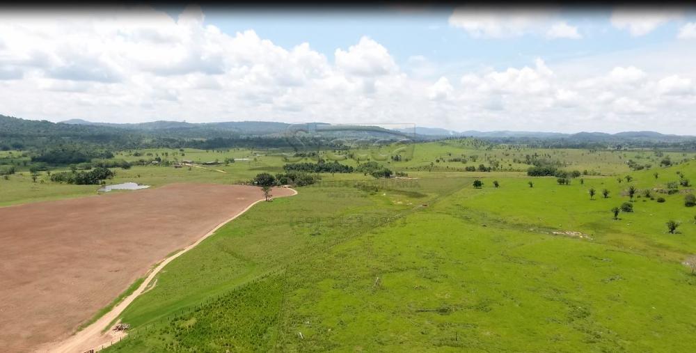 Comprar Rurais / Fazenda em Governador Jorge Teixeira - Foto 5 Comprar Rurais / Fazenda em Governador Jorge Teixeira - Foto 5