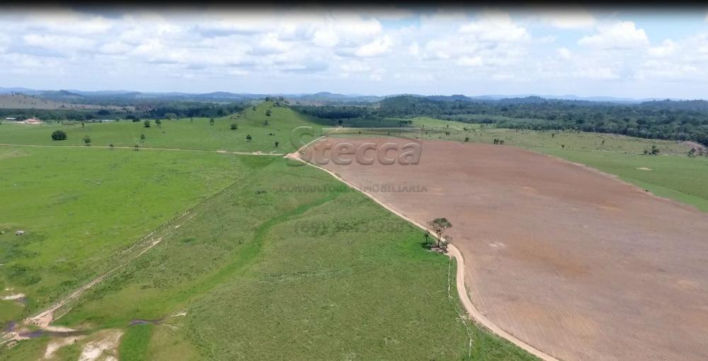 Comprar Rurais / Fazenda em Governador Jorge Teixeira - Foto 7 Comprar Rurais / Fazenda em Governador Jorge Teixeira - Foto 7